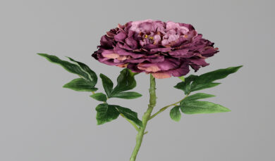 Květina Pivoňka, růžová|pudrová, 60cm  (ZDP-43780-21)
