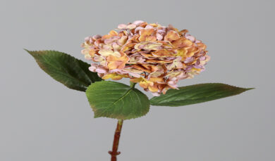Květina Hortenzie, žlutá|oranžová,  52cm  (ZDP-43787-74)