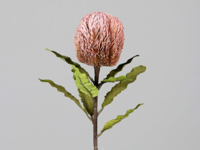 Květina Protea, růžová, 65cm  (ZDP-43816-31)