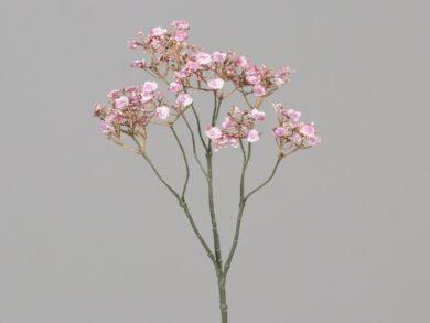 Květina Gypsophila, svazek, růžová, 30cm  (ZDP-43848-03)