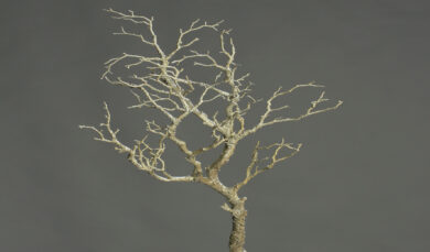Dekorace Větev, přírodní, 90cm  (ZDP-54469)