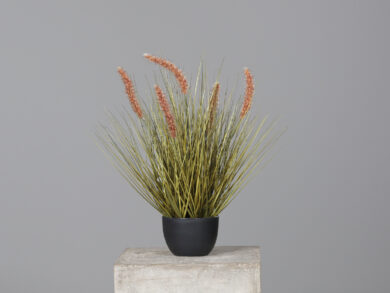 Grass in black plastic pot, 56 cm, 8/48  (ZDP-55164)