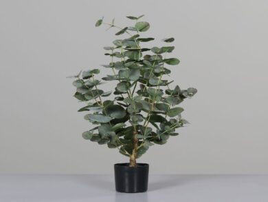 Eukalyptus v černém plastovém květináči, 60cm, textil, zelená, ks  (ZDP-57620)