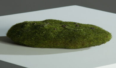 Mech dekorační, zelená, 10cm  (ZDP-88014)