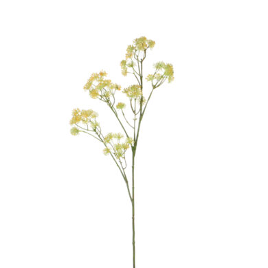 Květina Aralia žlutá, 85cm  (ZED-1005737)