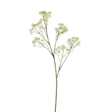 Květina Aralia krémová, 85cm  (ZED-1005738)