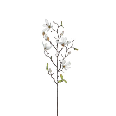 Květina MAGNOLIA, 75cm, bílá  (ZED-1009102)