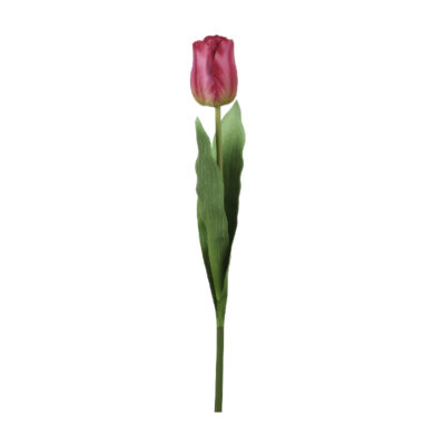 Květina TULIP, tmavě růžová, 60cm  (ZED-1075022)
