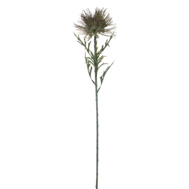 Květina Protea, zelená, 71cm  (ZED-915009)
