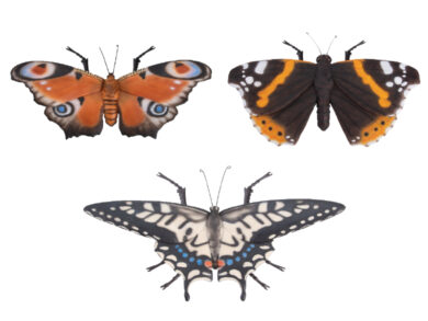 Zvířátka a postavy OUTDOOR Motýl, 3T  (ZEE-37000555)