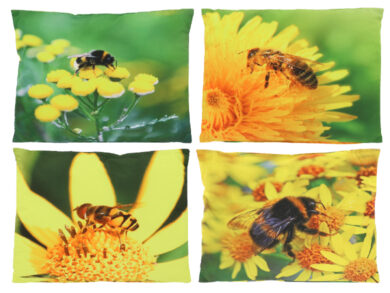 DOP Polštář OUTDOOR Bee, 49x49cm, 4T  (ZEE-BK028)