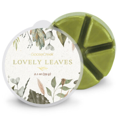 Vosk LOVELY LEAVES, 59g , do aroma lampy  (ZGC-EW765)