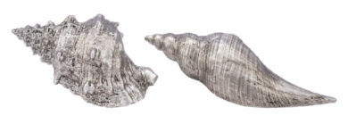 Dekorace Mušle, stříbrná, 15,5x10x8cm, 2T  (ZGE-12203356)