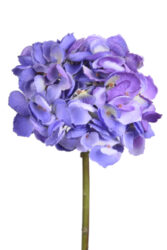 Květina hortenzie, fialová - Objednejte si kvalitn uml kvtiny znaky Ego dekor. Realistick vzhled bez drby. Vyberte si z irok nabdky druh a barev!