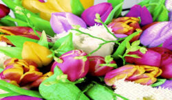 Ubrousky 3V - barevné tulipány 33x33cm - Popis se pipravuje - mono na dotaz