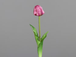 Květina Tulipán, fuchsiová, 48cm - Vtejte v i krsnch kvtin a rostlin, kter nikdy neuvadnou! Jsou ideln volbou pro lidi skomplikovanm vztahem s ivou vegetac. Uijte si krsu bez starost!