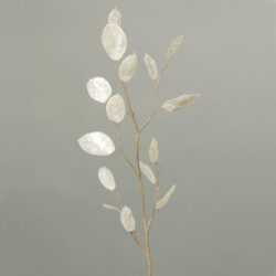 Dekorace Lunaria, bílá, 86cm