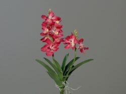 Orchidej Vanda, 63cm, růžová, textil, růžová, ks - Vtejte v i krsnch kvtin a rostlin, kter nikdy neuvadnou! Jsou ideln volbou pro lidi skomplikovanm vztahem s ivou vegetac. Uijte si krsu bez starost!