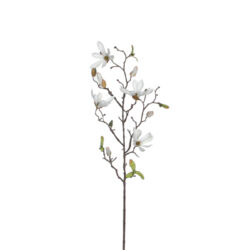 Květina MAGNOLIA, 75cm, bílá - Popis se pipravuje - mono na dotaz