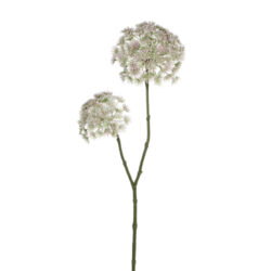 Květina Pastinák, růžová, 83cm - Popis se pipravuje - mono na dotaz