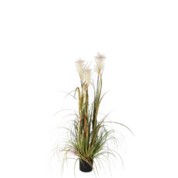 Květina PLUME v květináči, zelená, pr. 45cm - Popis se pipravuje - mono na dotaz