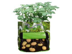 Pěstírna brambor - Pstujte sv rostliny s kvalitnmi produkty znaky Esschert Design, specialisty na zahradnien.