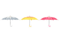 Deštník dětský, 3T - Set 3 ks hedvábných deštníků. Vhodné pro děti. S laminátovou rukojetí opatřenou plastovým úchopem. Ve 3 různých typech zpracování barev a potisku. Barevný potisk motivu bílé kopretiny, růžové gerbery a žluté slunečnice. Rozměr v cm (ŠxHxV): 102,5x102,5x84. Obsah: neuvádí se. Materiál: hedvábí, laminát, kov, PP.