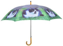 Deštník s kočkami, tmavě šedá - Popis se pipravuje - mono na dotaz