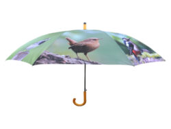 Deštník s ptáčky - Polyesterový deštník. S kovovou rukojetí opatřenou dřevěným úchopem. V barevném zpracování s potiskem 8-mi druhů lesního/polního ptactva. Rozměr v cm (ŠxHxV): 120x120x95. Obsah: neuvádí se. Materiál: polyester, kov, dřevo.