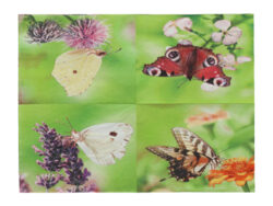 Ubrousky s motýly, S20 - Balení 20-ti ks papírových ubrousků. V hedvábném zpracování s barevným potiskem různých druhů motýlů. 3-vrstvé. Rozměr v cm (ŠxHxV): 16,5x16,5x2,3. Obsah: neuvádí se. Materiál: hedvábný papír (3 vrstvy).