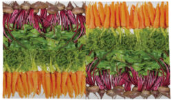 DOP Ubrousky Zelenina - Objednejte si ekologick a stylov jednorzov ndob a ubrousky znaky Esschert Design, holandskho vrobce zahradnch produkt.