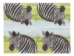 Ubrousky Zebra - Objednejte si ekologick a stylov jednorzov ndob a ubrousky znaky Esschert Design, holandskho vrobce zahradnch produkt.