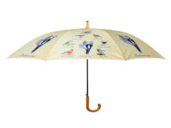 Deštník s ptáčky - Popis se připravuje - možno na dotaz