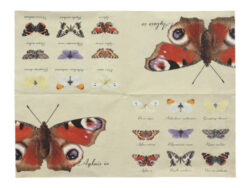 Ubrousky 17x17 Motýlci - Popis se připravuje - možno na dotaz