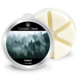 Vosk FOREST, 59g , do aroma lampy