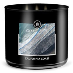 Svíčka MENS COLLECTION 0,41 KG CALIFORNIA COAST, aromatická v dóze, 3 knoty - Vonné svíčky ve skle s víčkem, třemi knoty a délkou hoření více jak 35 hodin. Užijte si rozmanitost vůní a rovnoměrné hoření, které přinášejí svíčky Goose Creek.