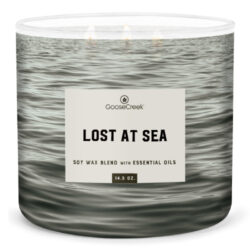 Svíčka MENS COLLECTION 0,41 KG LOST AT SEA, aromatická v dóze, 3 knoty - Aromatická svíčka se třemi knoty a délkou hoření více jak 35 hodin