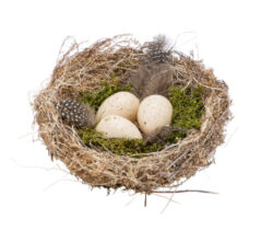 Dekorace hnízdo s vejci, přírodní, 15x15x5cm - Popis se připravuje - možno na dotaz