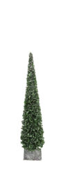 Strom ORLANA, zelená, 10x60cm - Popis se pipravuje - mono na dotaz