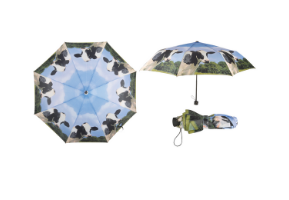 deštníky | holinky | držáky a stojany pro ně
